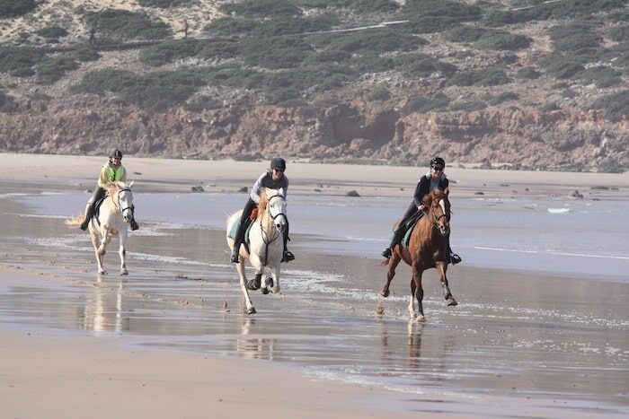 three horses galloping along the beach