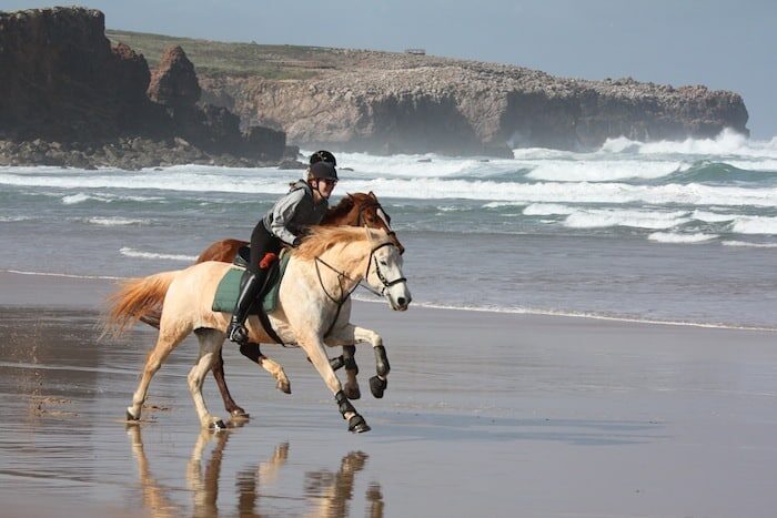two horses riding along the ocean water edge, with rocky algarve cliffs behind