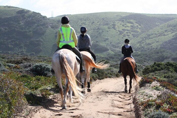 three horses with riders walk along a country dirt track